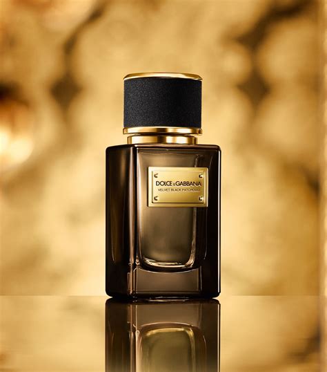 velvet cologne dolce gabbana